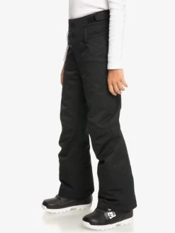 Roxy Girls 8-16 Diversion Technical Snow Pants